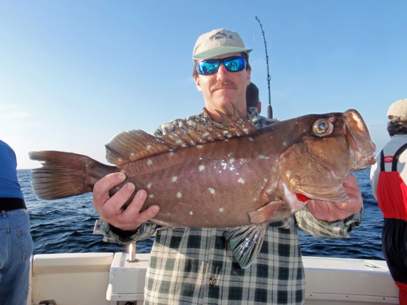 Fishing Report Goldens, Bluelines, Grouper, Wreckfish Tidal Fish Forum